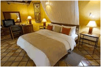 Beschreibung: C:\Users\Davies\Pictures\protea -zambia.jpg