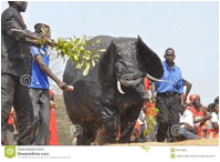 Beschreibung: C:\Users\Davies\Pictures\chewa 1.jpg