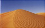 Beschreibung: dune